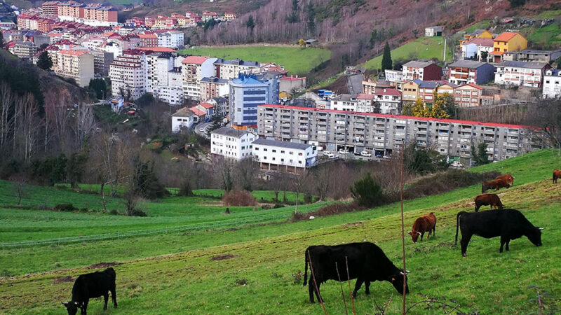 La foto y su pie:Un Cangas urbano y bucólico