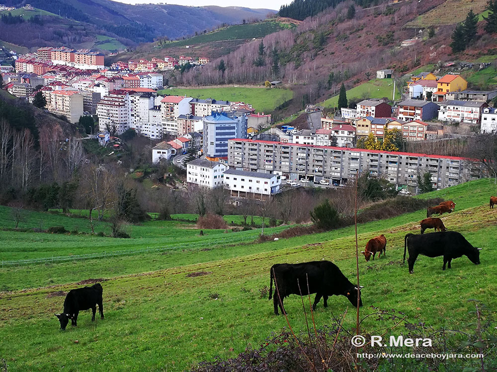 La foto y su pie:Un Cangas urbano y bucólico