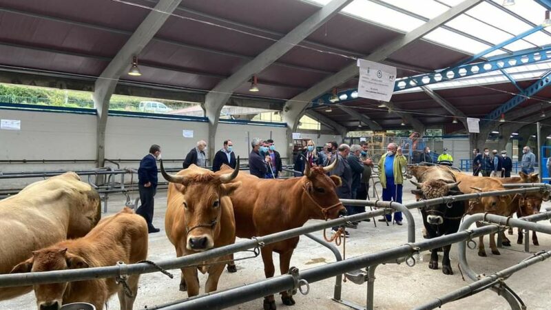 Cangas del Narcea celebrará el próximo martes la feria de la Cruz de Mayo