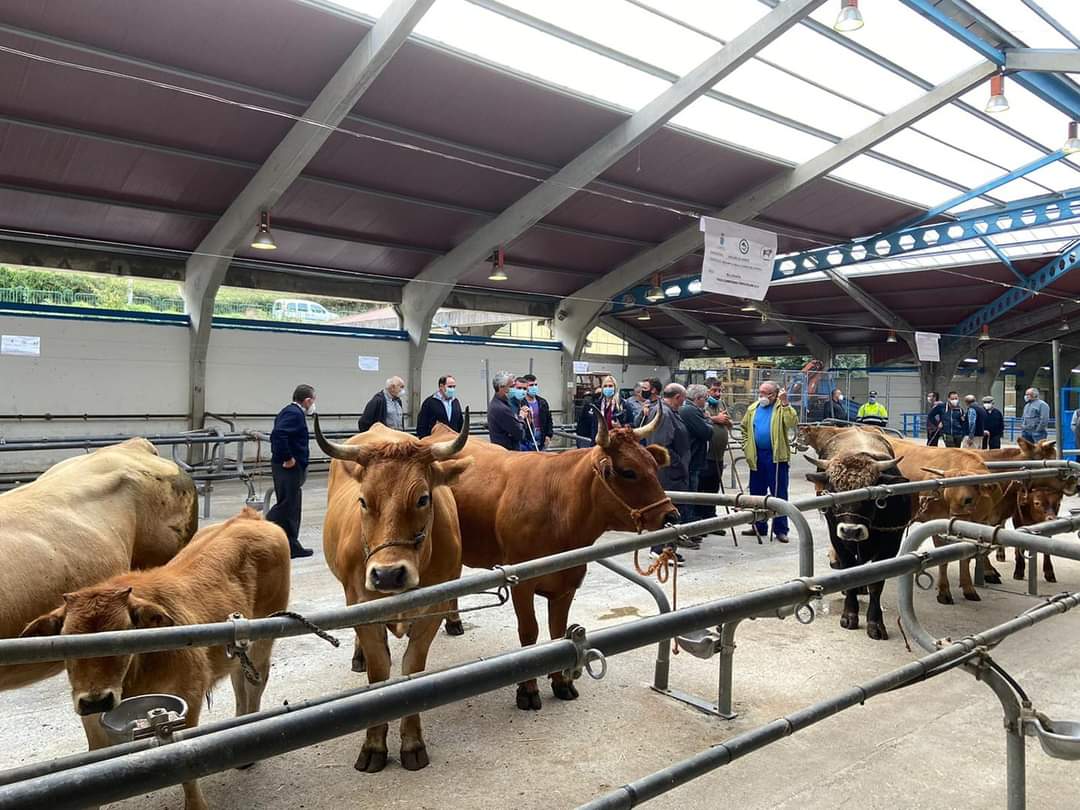 Cangas del Narcea celebrará el próximo martes la feria de la Cruz de Mayo