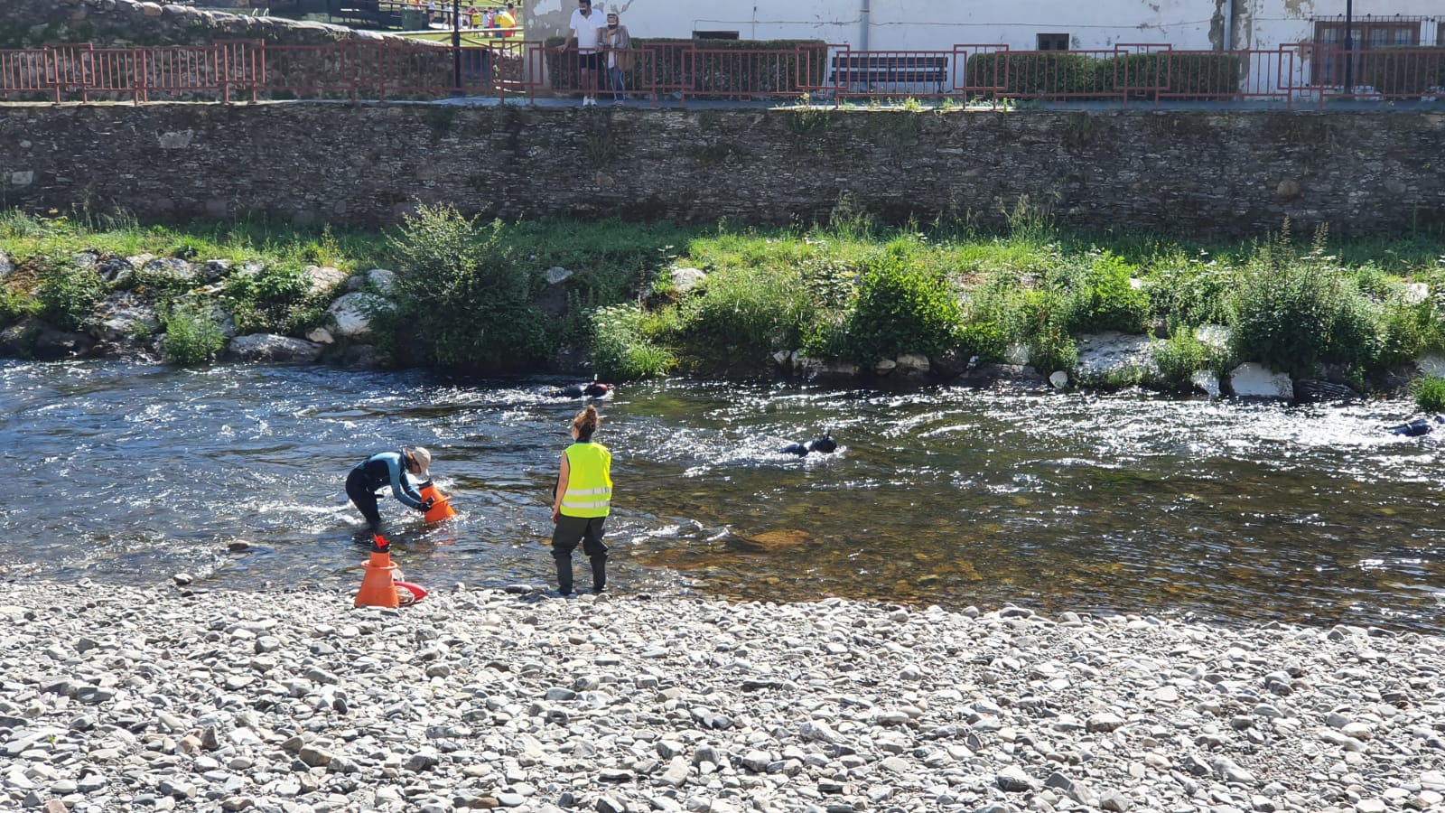 Arrancan las obras de restauración de la escollera del Narcea a su paso por Cangas