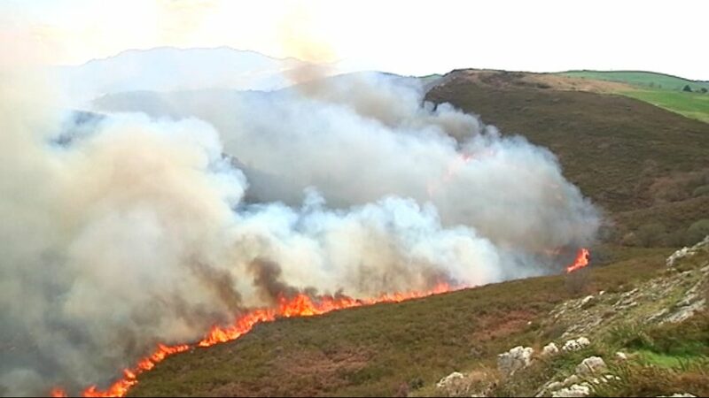 Suspendido el juicio por incendio provocado contra un tinetense