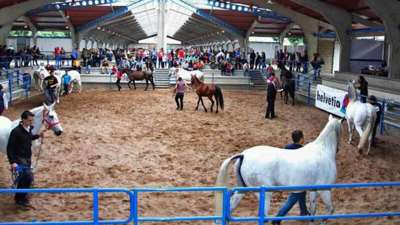 Desde hoy: ECUNARCEA