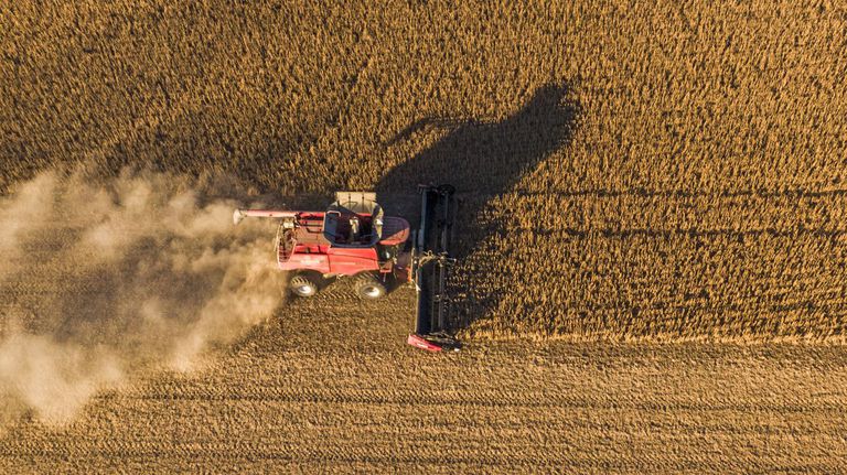 Agricultores a lo bestia a base de bits