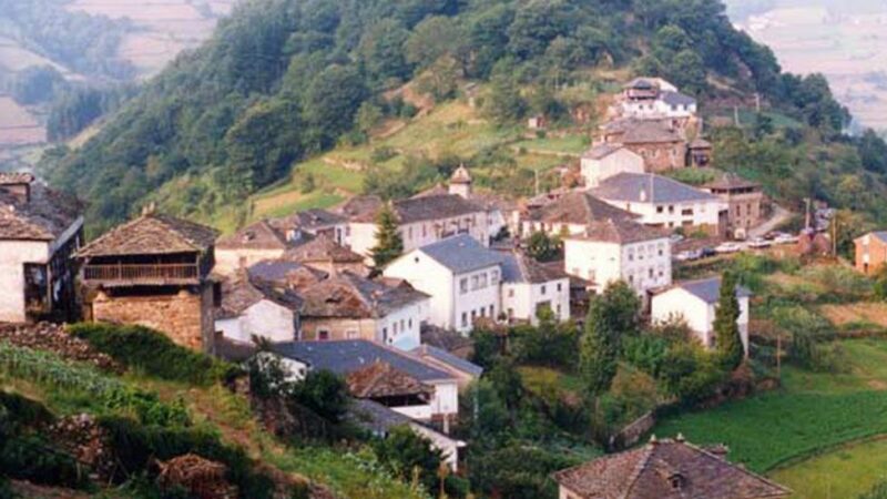 Continúan los ataques de los osos en Cangas