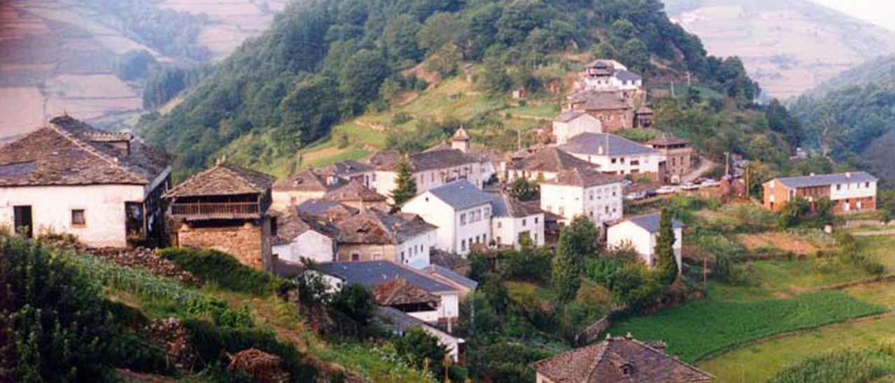 Continúan los ataques de los osos en Cangas