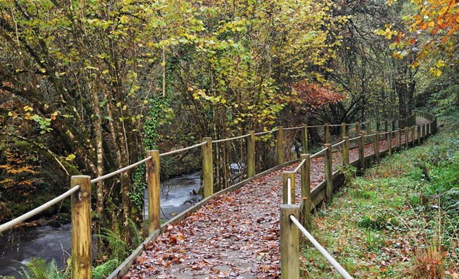 El otoño está llamando a las puertas