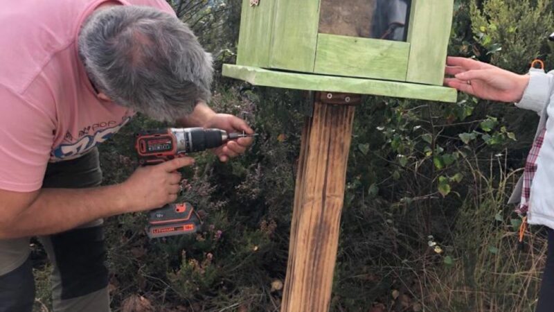 Atentado a la cultura y el medio: Vandalismo en Degaña