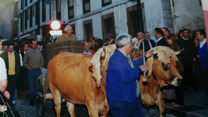 Las primeras Fiestas de la Vendimia y la Cofradía del Vino