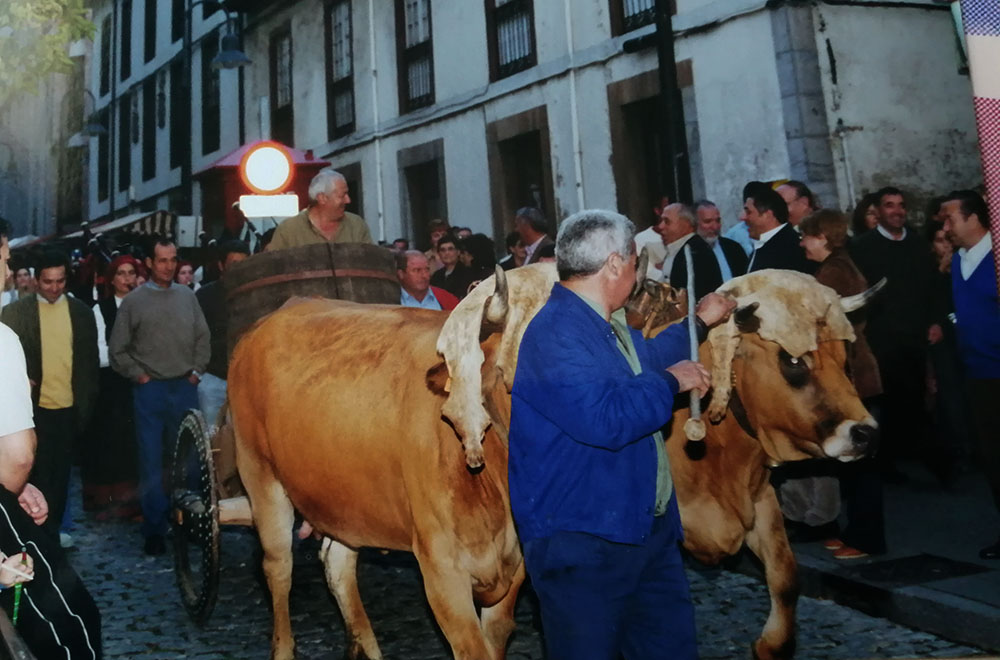 Las primeras Fiestas de la Vendimia y la Cofradía del Vino