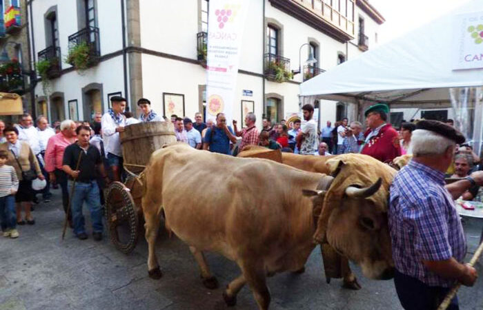 La DOP Cangas, APROVICAN y la IGP Chosco de Tineo no participarán en la Fiesta de la Vendimia