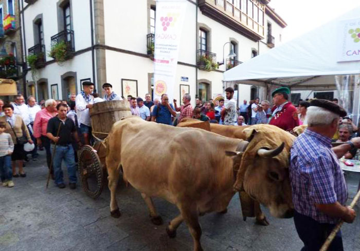 La DOP Cangas, APROVICAN y la IGP Chosco de Tineo no participarán en la Fiesta de la Vendimia