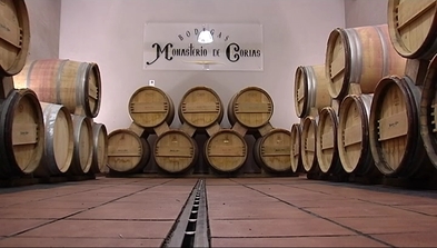 Tres vinos cangueses en la Guía Vinos Gourmets (GVG)