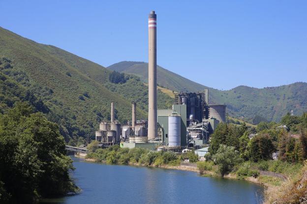 Viñedos, piscifactoría y espacio empresarial en los terrenos de la Térmica de Soto