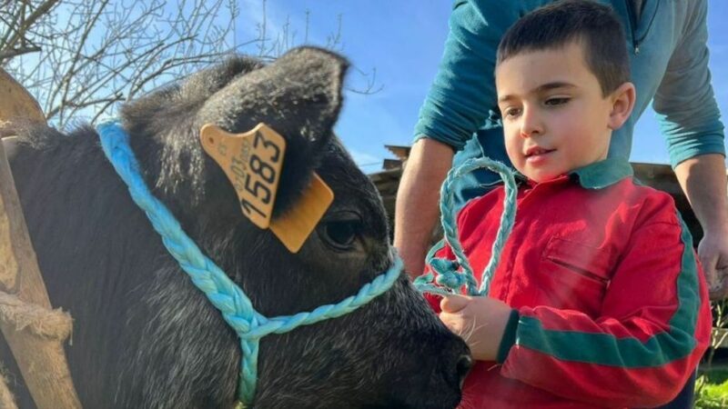 Mario, los Reyes Magos y la xata pinta negra