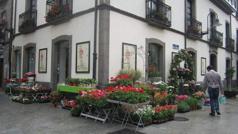CANGAS: Nuevo premio para Flores La Plaza