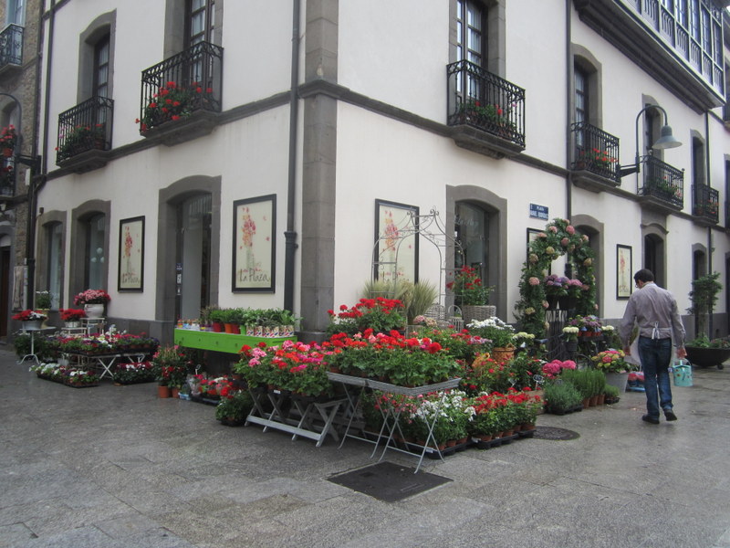 CANGAS: Nuevo premio para Flores La Plaza