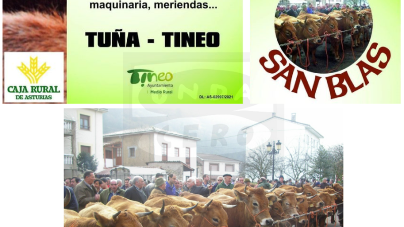 Tuña celebra mañana la feria ganadera de San Blas