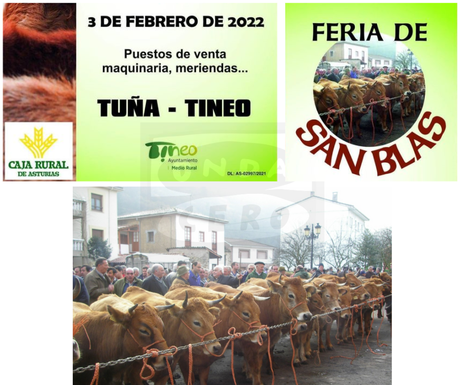 Tuña celebra mañana la feria ganadera de San Blas