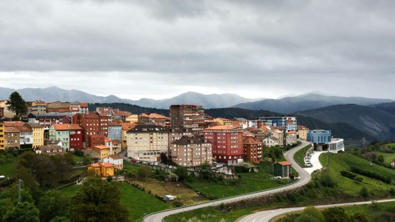 TINEO: Construcción de naves nido