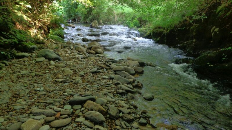 Actuaciones en los ríos  Gillón, Naviego y Muniellos