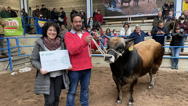 Reses, calidad y ambiente, en la Muestra ganadera