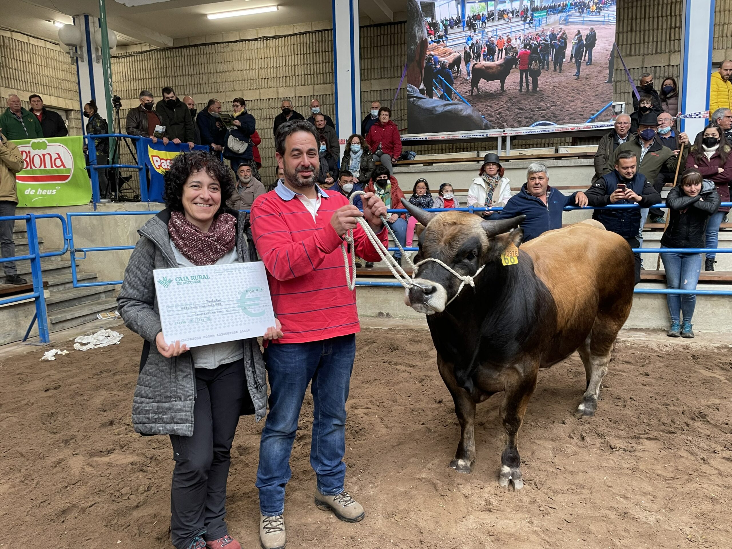 Reses, calidad y ambiente, en la Muestra ganadera