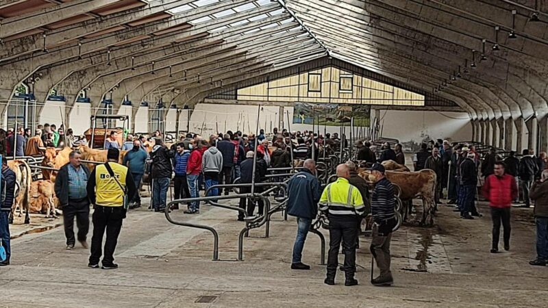 La feria de la Cruz de Mayo  Ayer y hoy