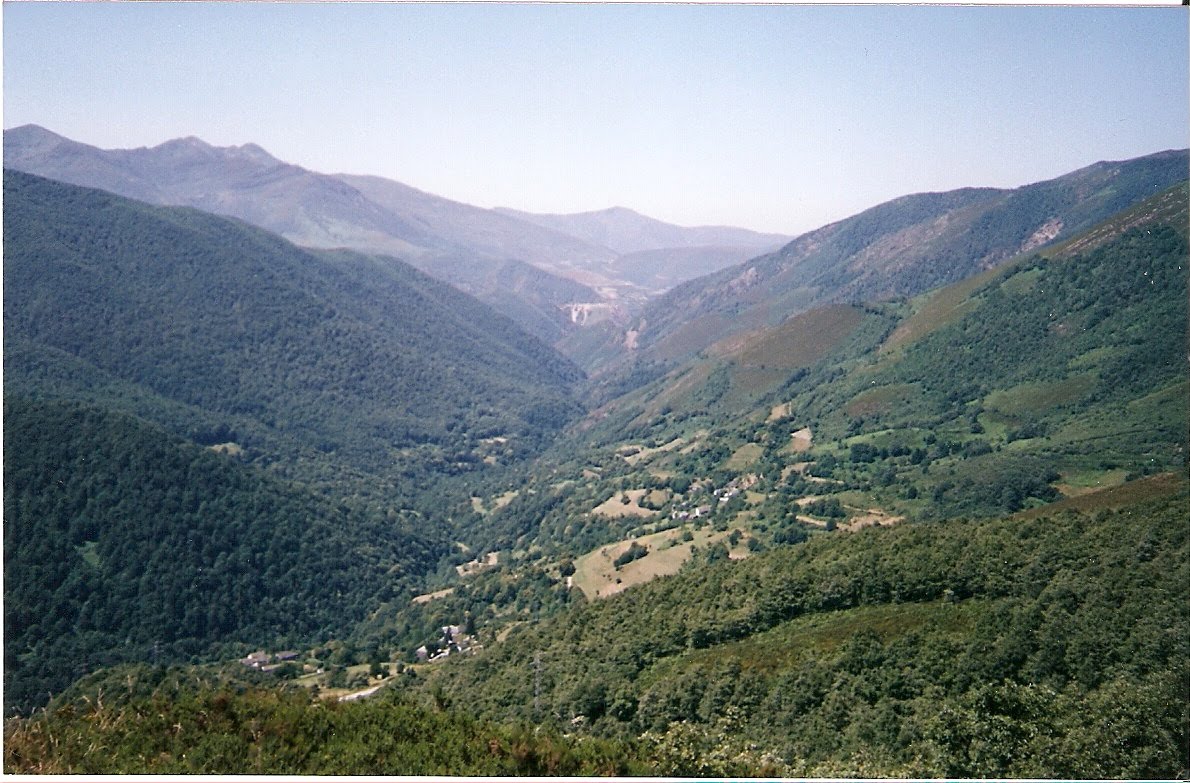 Recatan una osa en Cangas del Narcea