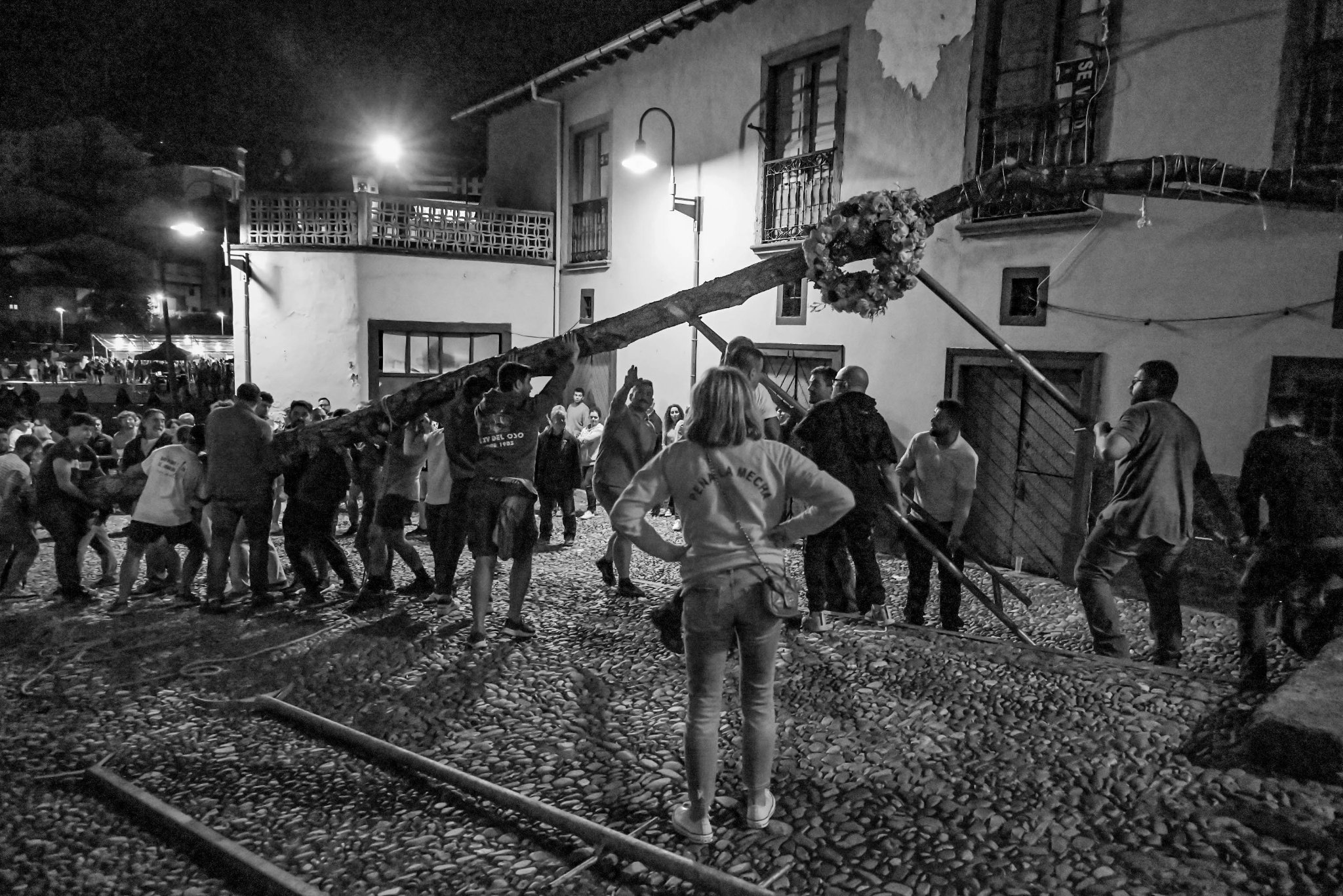 Y la corona de flores subió a lo más alto a la vez que el Arbolón