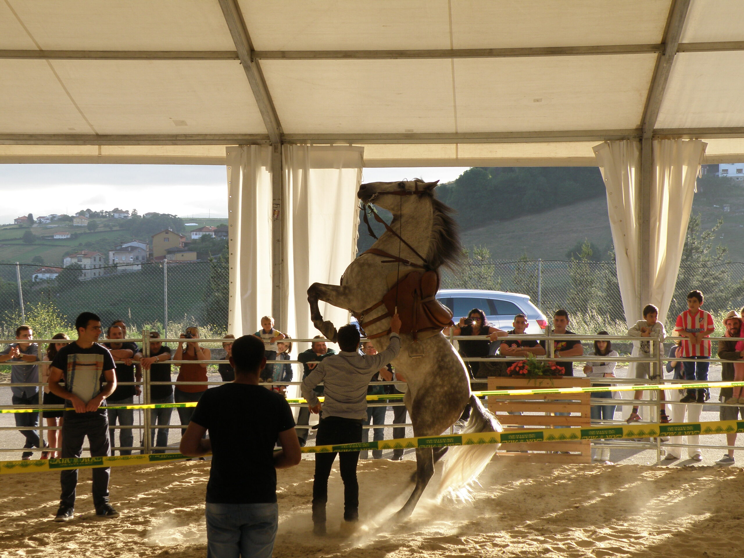 Sábado: caballos en Tineo