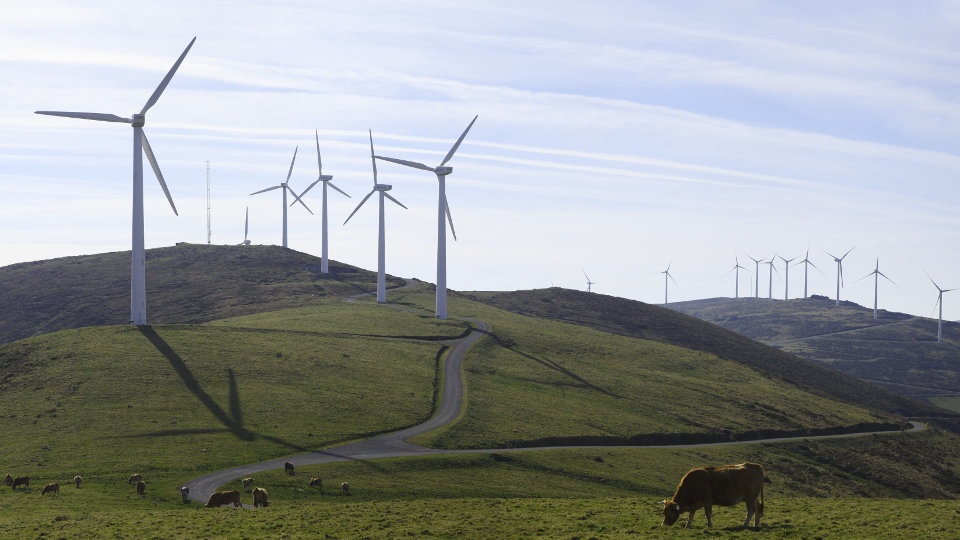 Nuevos eólicos en Tineo y Grandas de Salime