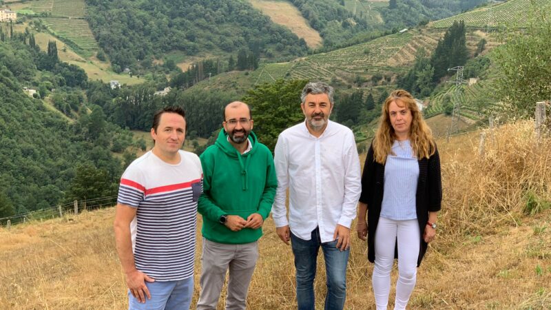 Cangas.- Se amplía el Paseo del Vino hacia la ruta de Las Viñas