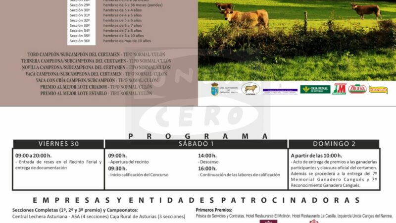 La Muestra Ganadera Local de la Raza Asturiana de los Valles acogerá este fin de semana un concurso con 337 animales