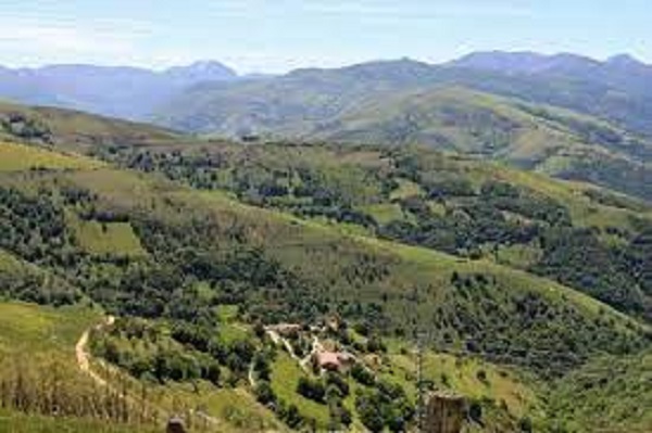 CANGAS. Herido tras caer de un árbol