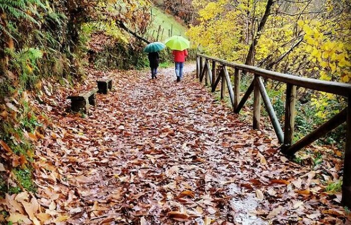 Paseo entre viñedos otoñales cangueses en su eterno reciclar