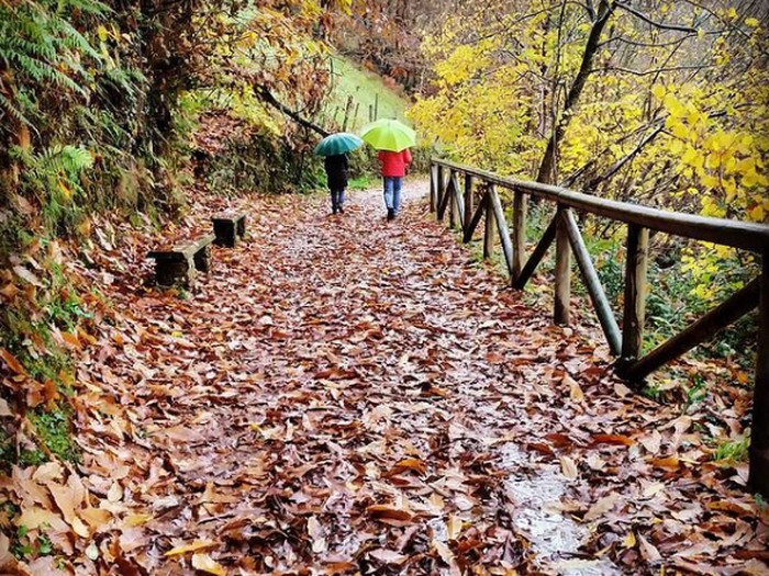 Paseo entre viñedos otoñales cangueses en su eterno reciclar