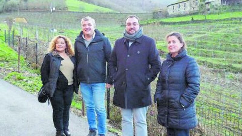 IBIAS se abrirá al enoturismo a través de la bodega Siluvio