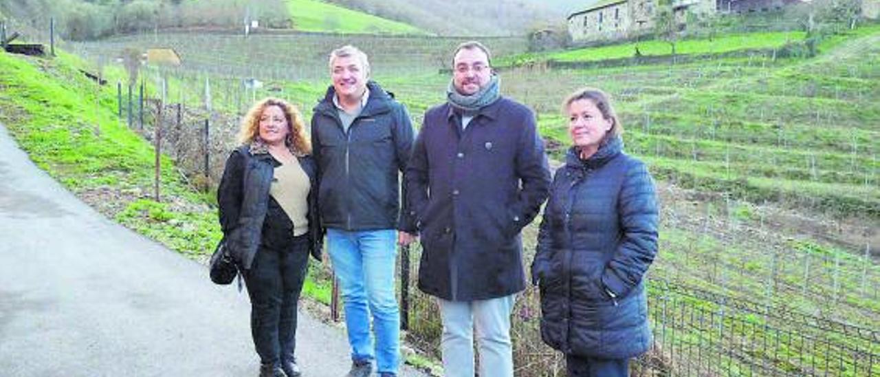 IBIAS se abrirá al enoturismo a través de la bodega Siluvio