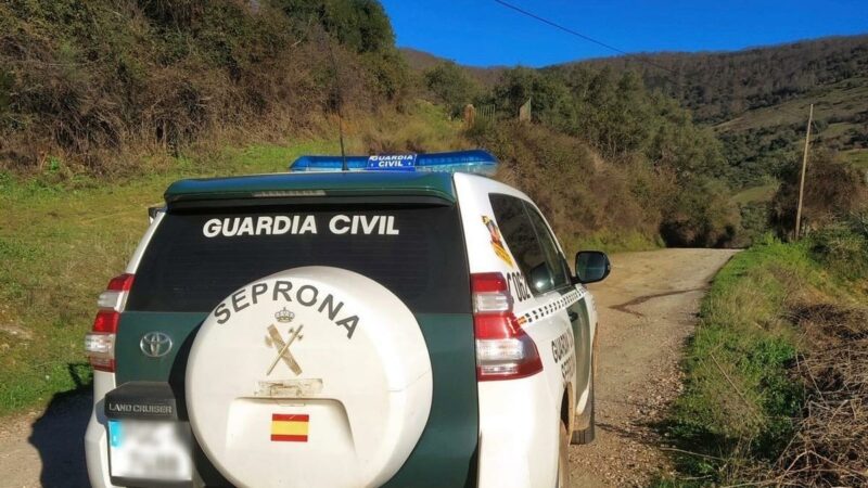 BERZOCANA.- Detenido un cazador furtivo que abatió siete jabalíes