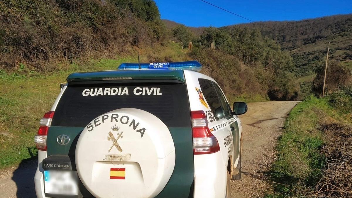 BERZOCANA.- Detenido un cazador furtivo que abatió siete jabalíes