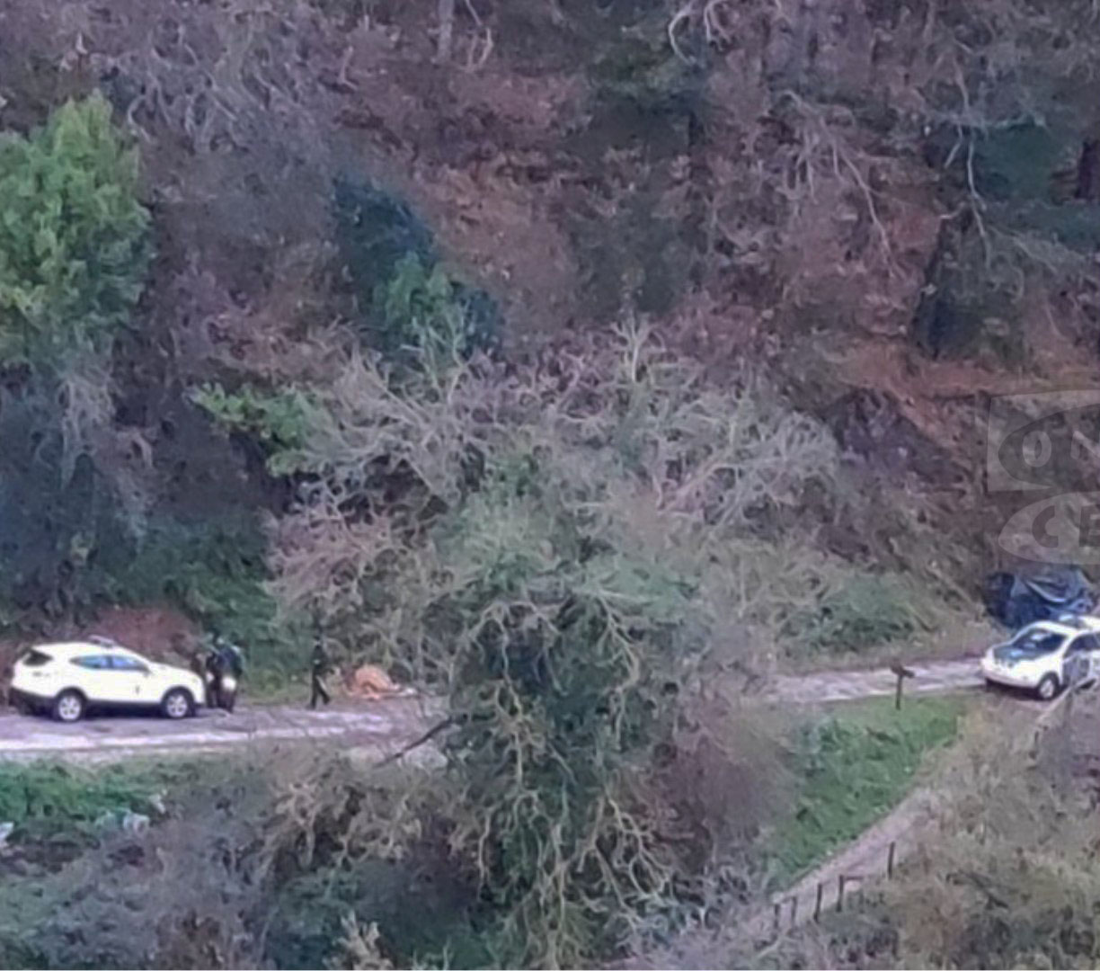 CANGAS.- Hallan un cráneo en la carretera a Llamas de Ambasaguas