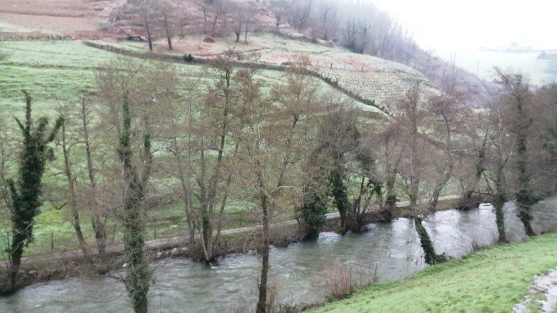 NARCEA.-Despacio, sibilino como lobo que baja al valle, llegó el invierno y…