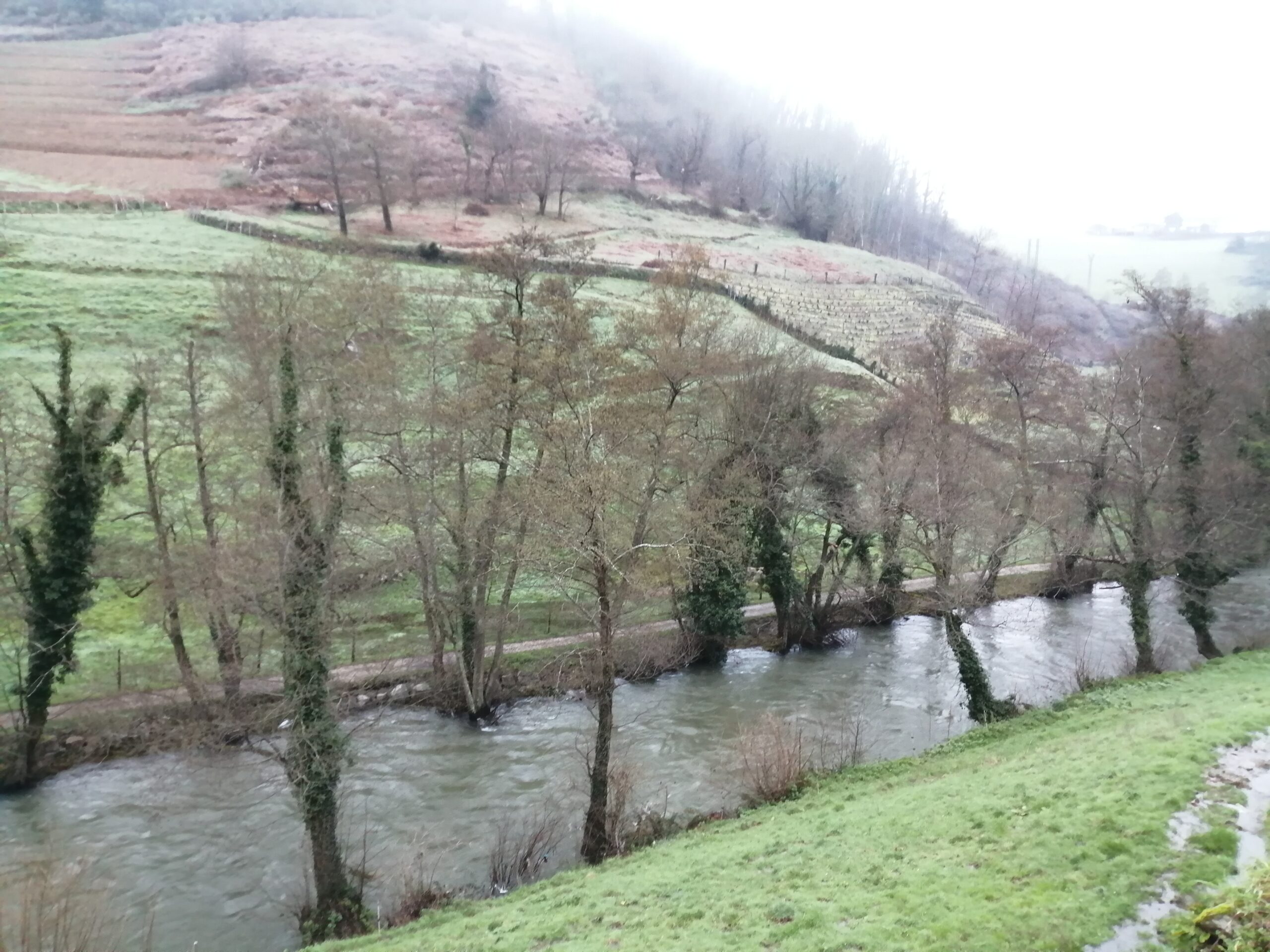 NARCEA.-Despacio, sibilino como lobo que baja al valle, llegó el invierno y…