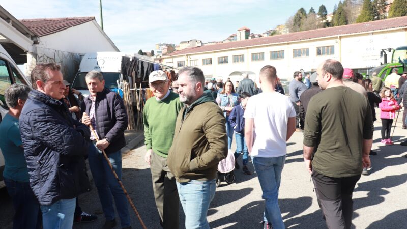 TINEO.- Éxito de la Feria de San José