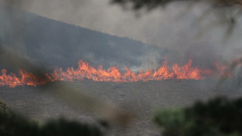 El presidente del Principado Adrían Barbón cree que el 99 % de los 107 incendios forestales en activo son intencionados