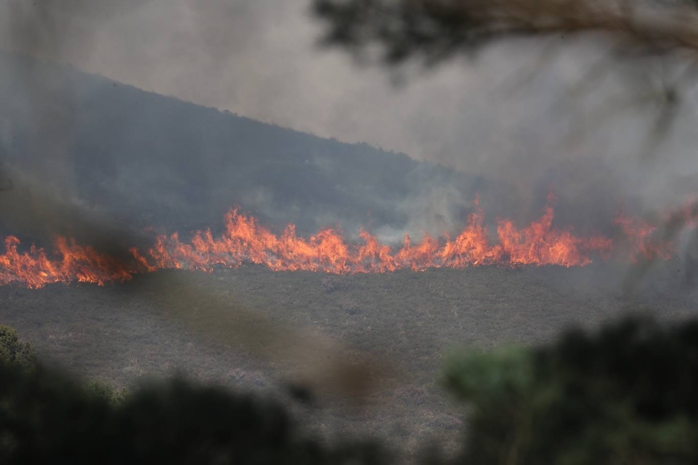 El presidente del Principado Adrían Barbón cree que el 99 % de los 107 incendios forestales en activo son intencionados