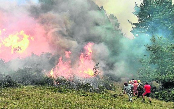 Reforestación en Allande de la mano de Alimerca