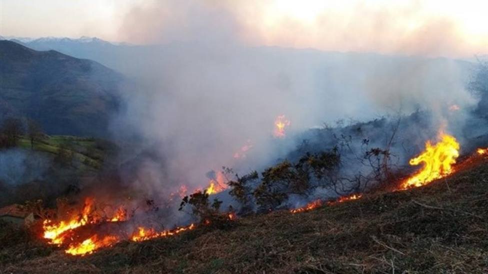 SUROCCIDENTE.- Plan de choque para paliar los daños de los incendio forestales