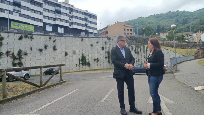 CANGAS DEL NARCEA.- Tiempo de promesas: PSOE